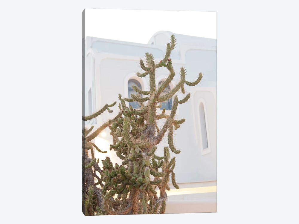Santorini Cactus Dream I by Anita's & Bella's Art 1-piece Art Print