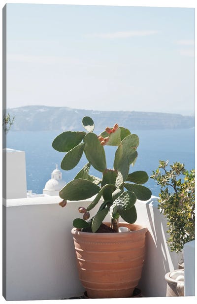 Santorini Cactus Dream III Canvas Art Print - Mediterranean Décor