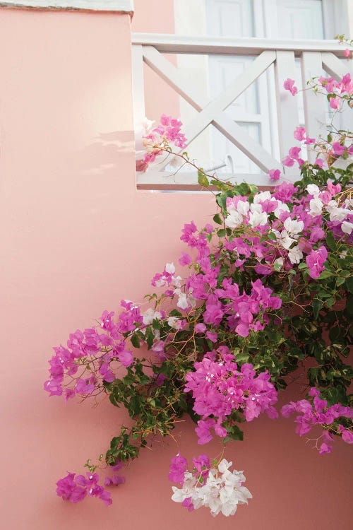Santorini Oia Beauty Dream V