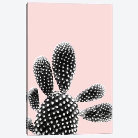 Black Blush Cactus Dream I Canvas Print #ABM34} by Anita's & Bella's Art Canvas Print
