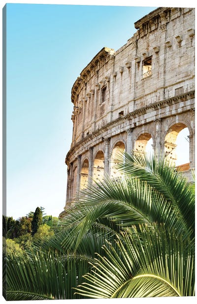 The Colosseum In Rome With Palm II Canvas Art Print - The Seven Wonders of the World