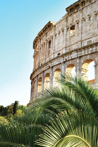 Ancient Ruins: The Colosseum In Rome II With Palm by Anita's & Bella's Art