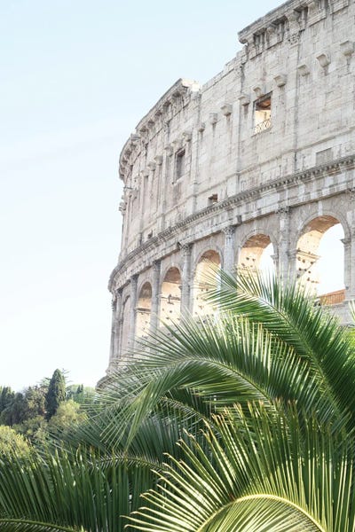 Ancient Ruins: The Colosseum In Rome I With Palm by Anita's & Bella's Art