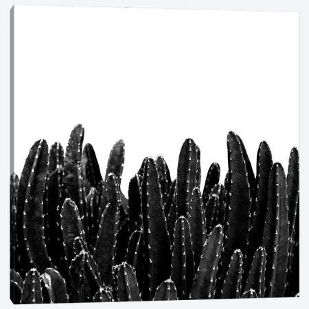 Black Cacti Dream I Canvas Print #ABM35} by Anita's & Bella's Art Art Print