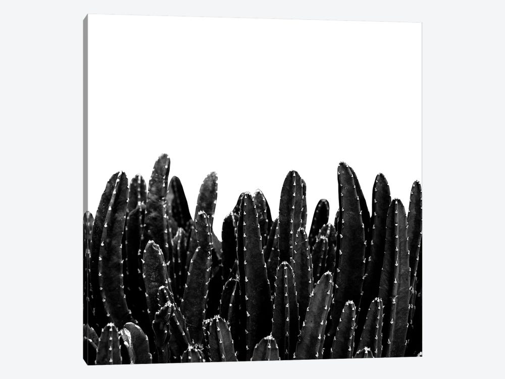Black Cacti Dream I by Anita's & Bella's Art 1-piece Canvas Art Print