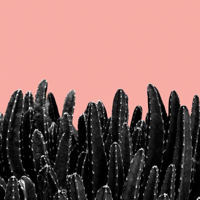 Black Cacti Dream II by Anita's & Bella's Art framed canvas print