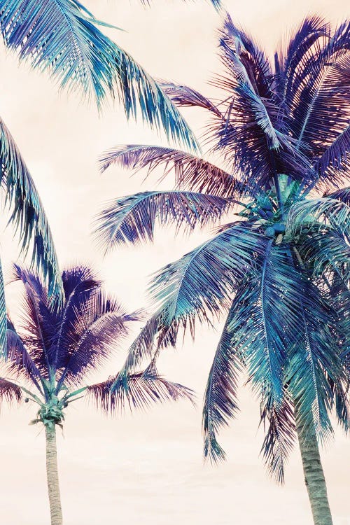 Summer Palm Trees Beach Dream I