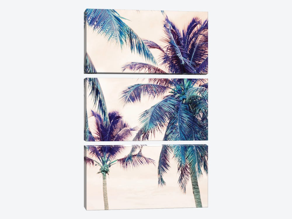 Summer Palm Trees Beach Dream I by Anita's & Bella's Art 3-piece Art Print