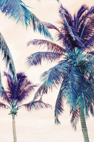 Anita's & Bella's Art: Summer Palm Trees Beach Dream I by Anita's & Bella's Art