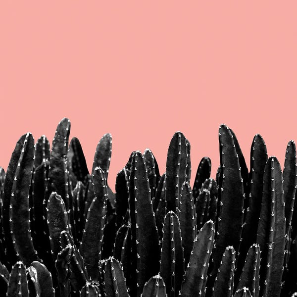 Anita's & Bella's Art: Black Cacti Dream II by Anita's & Bella's Art