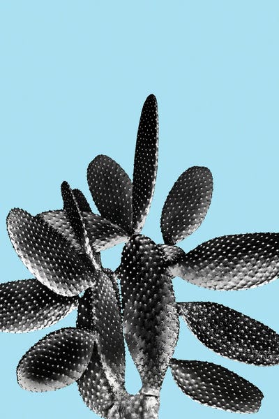 Black Light Blue Cactus I by Anita's & Bella's Art framed canvas print