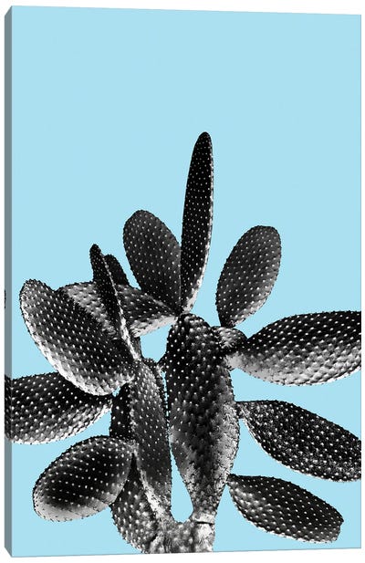 Black Light Blue Cactus I Canvas Art Print - Anita's & Bella's Art