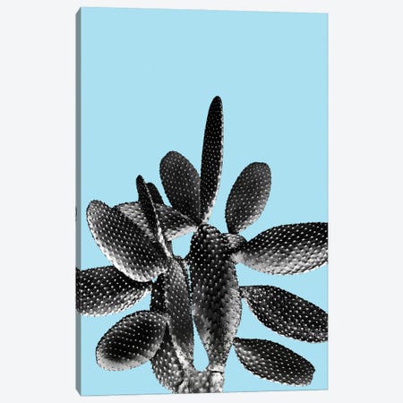 Black Light Blue Cactus I Canvas Print #ABM37} by Anita's & Bella's Art Art Print
