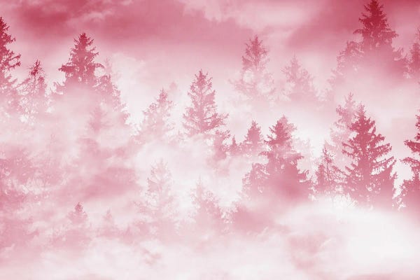 Anita's & Bella's Art: Viva Magenta Forest Dream by Anita's & Bella's Art