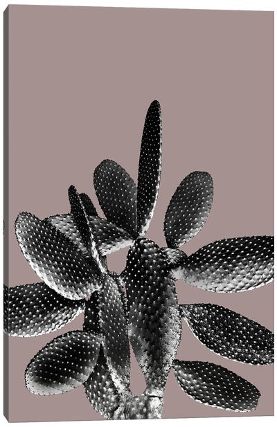 Black Mauve Cactus I Canvas Art Print - Anita's & Bella's Art