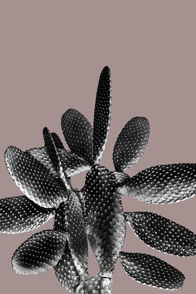 Anita's & Bella's Art: Black Mauve Cactus I by Anita's & Bella's Art