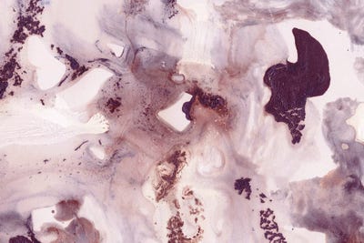 Plum Blush Ink Marble Glam by Anita's & Bella's Art framed canvas print