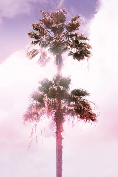 Anita's & Bella's Art: Palm Tree Duo by Anita's & Bella's Art