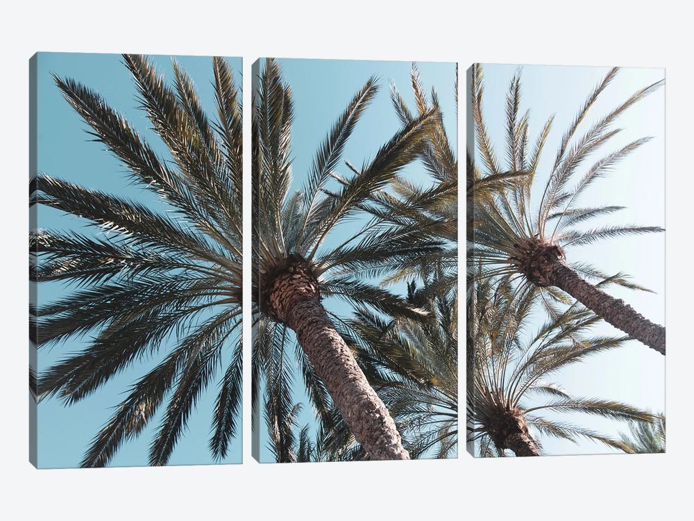 Palm Trees Bliss by Anita's & Bella's Art 3-piece Canvas Art Print