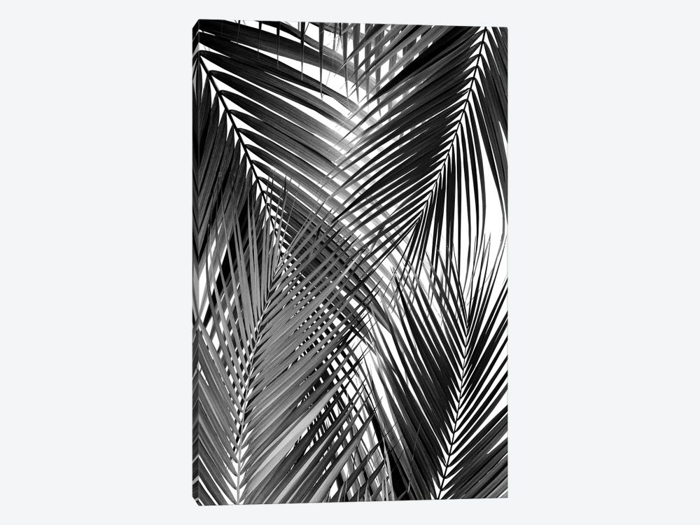 Black Palm Leaves Dream - Cali Summer Vibes III by Anita's & Bella's Art 1-piece Canvas Print