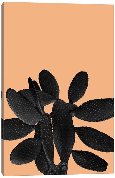 Black Pastel Orange Cacti Vibes I Canvas Art Print - Anita's & Bella's Art