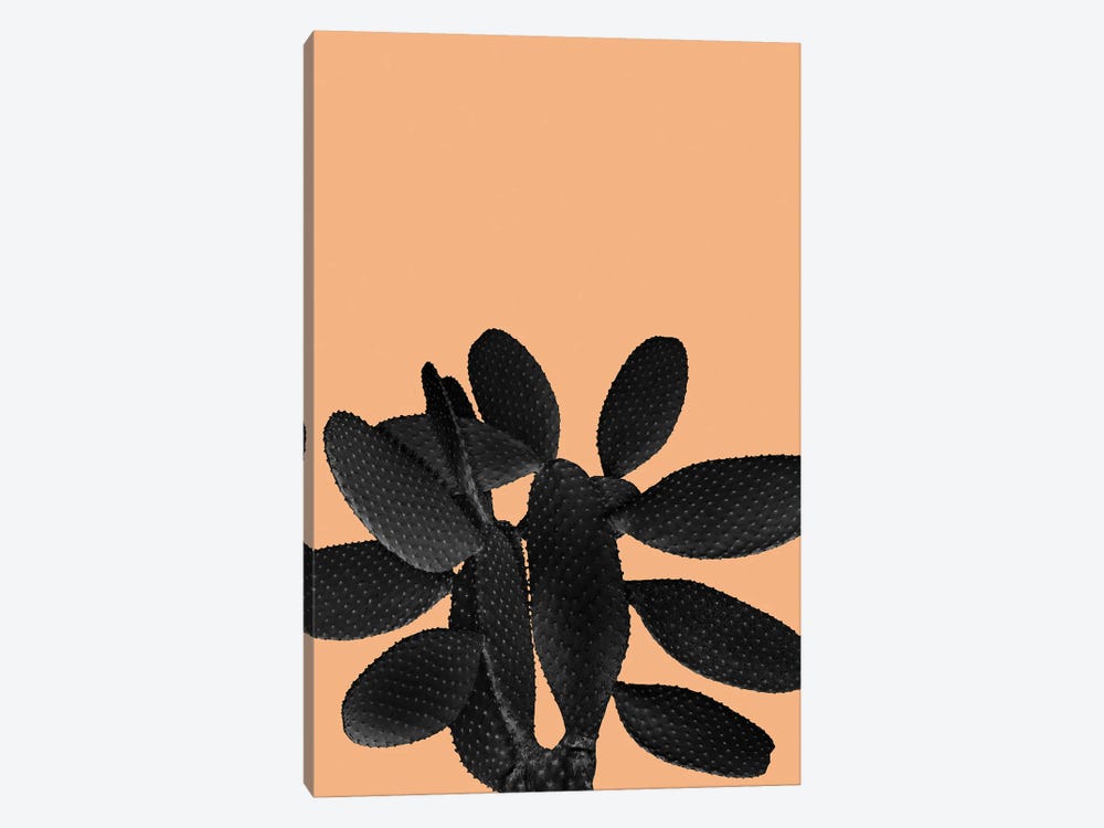 Black Pastel Orange Cacti Vibes I by Anita's & Bella's Art 1-piece Canvas Art Print