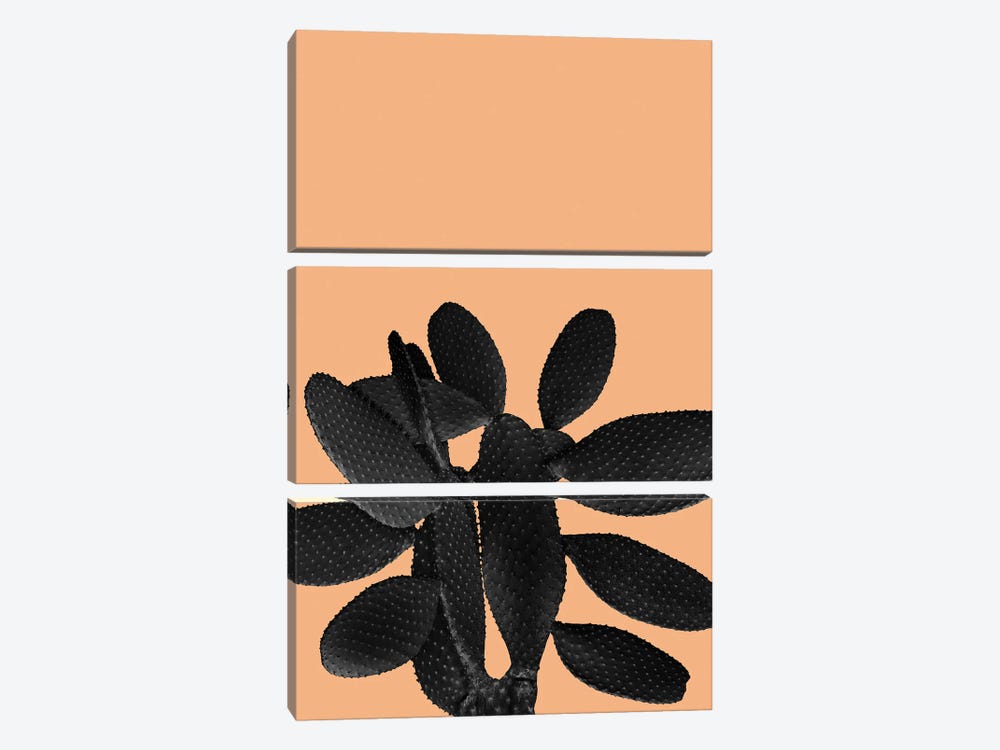 Black Pastel Orange Cacti Vibes I by Anita's & Bella's Art 3-piece Canvas Print