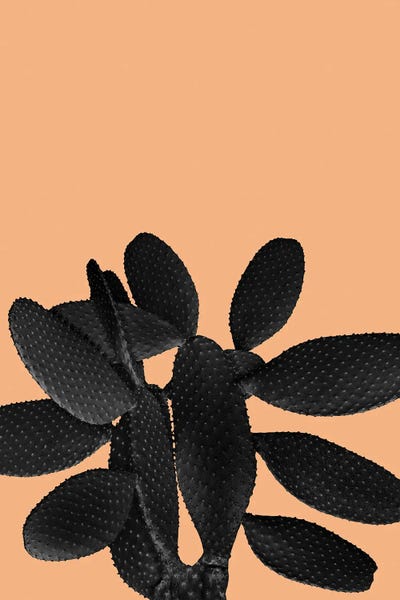 Anita's & Bella's Art: Black Pastel Orange Cacti Vibes I by Anita's & Bella's Art