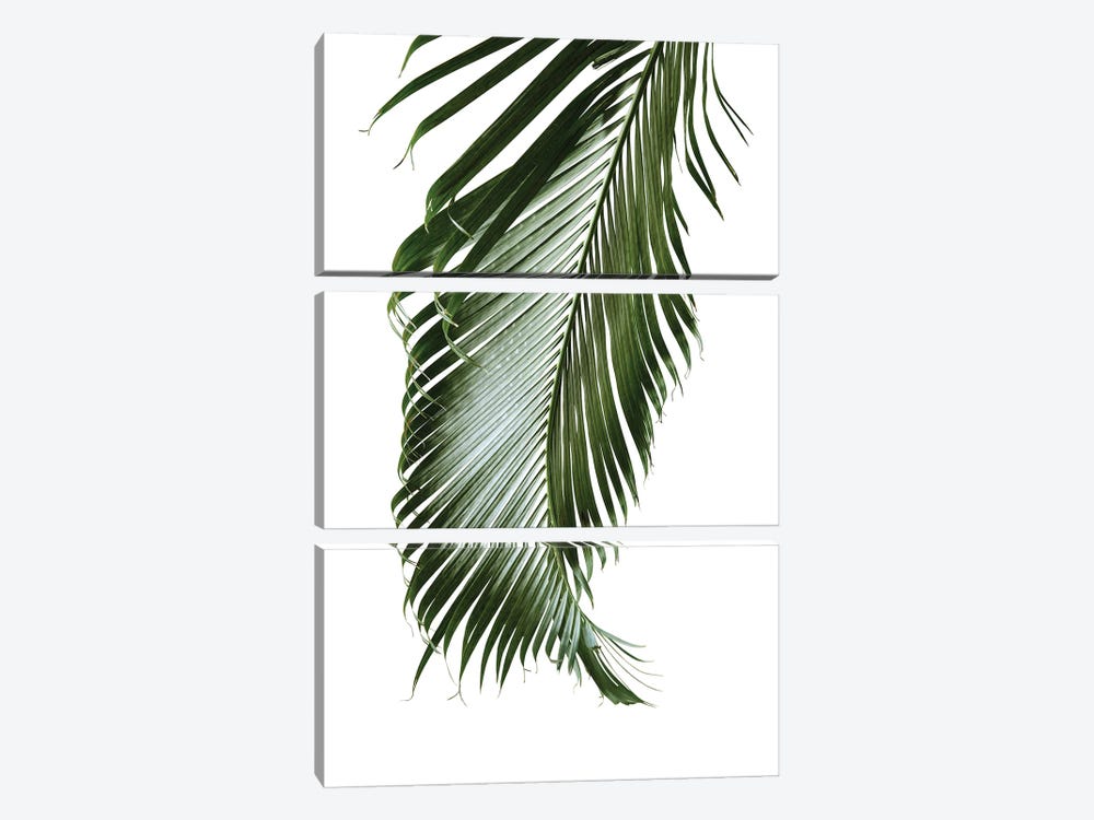 Palm Leaf Finesse II by Anita's & Bella's Art 3-piece Canvas Artwork