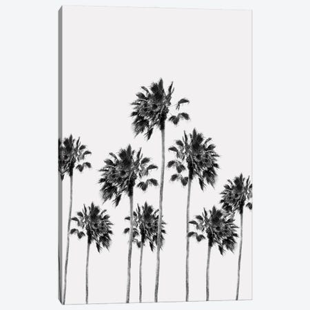 Black White Palm Trees Finesse I Canvas Print #ABM41} by Anita's & Bella's Art Art Print