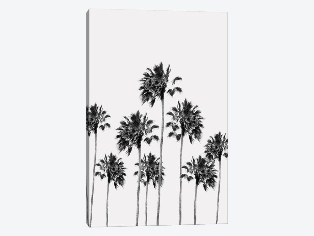 Black White Palm Trees Finesse I by Anita's & Bella's Art 1-piece Canvas Artwork