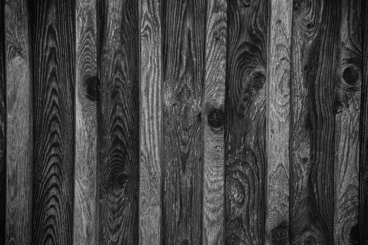 Rustic Wood Texture by Anita's & Bella's Art wall art