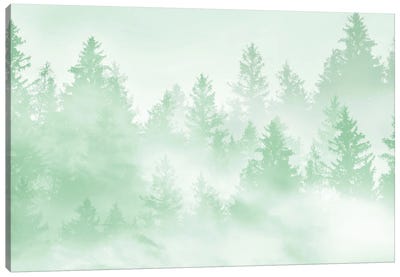 Soft Green Forest Dream Canvas Art Print - Anita's & Bella's Art