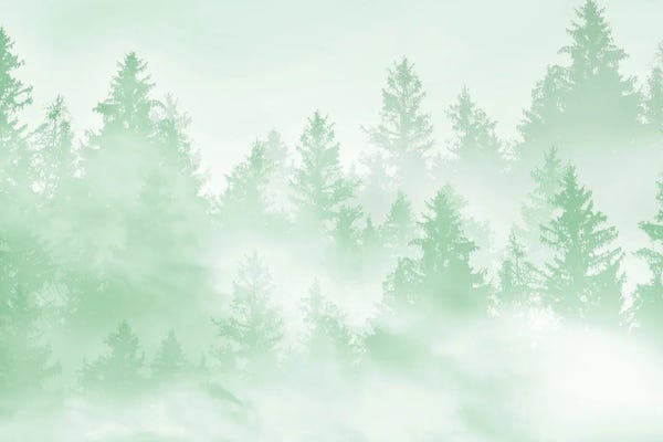 Evergreen Trees: Soft Green Forest Dream by Anita's & Bella's Art