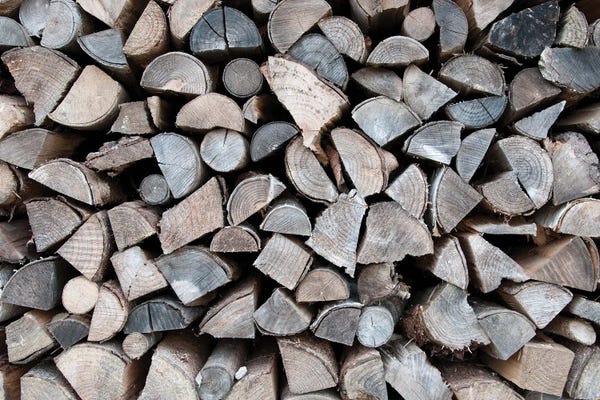 Tree Close-Ups: Rustic Wood II by Anita's & Bella's Art