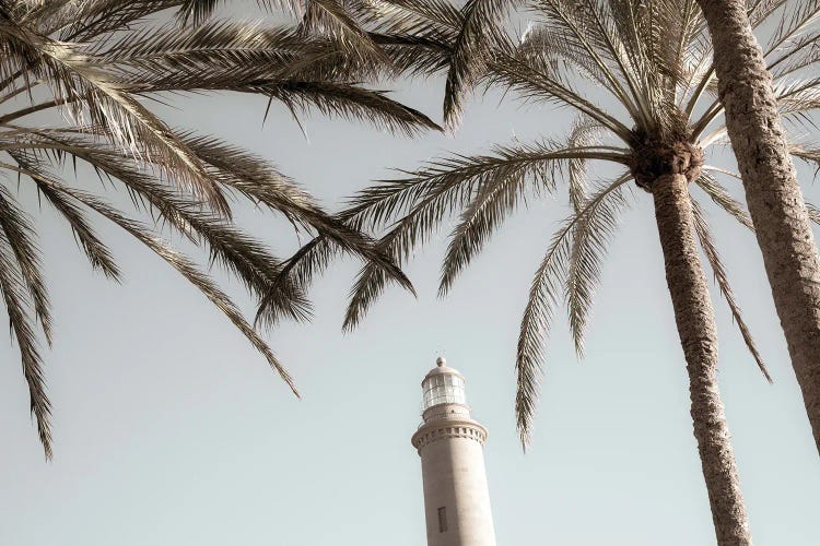 Lighthouse And Palms