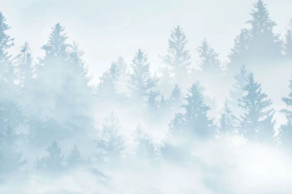 Anita's & Bella's Art: Soft Blue Forest Dream by Anita's & Bella's Art
