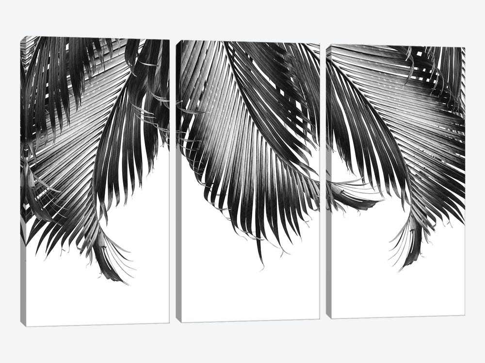 Palm Leaves Finesse III by Anita's & Bella's Art 3-piece Canvas Art Print