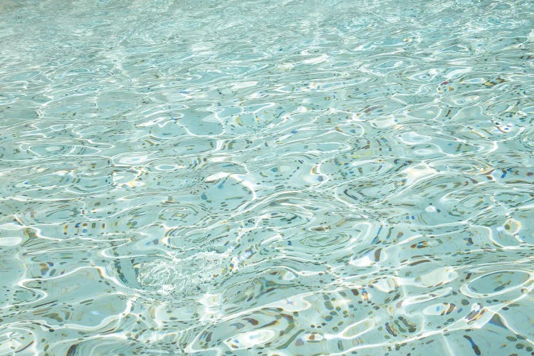 Coins In The Trevi Fountain