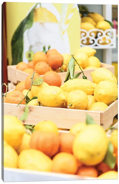 Amalfi Lemons And Oranges I Canvas Art Print - Anita's & Bella's Art