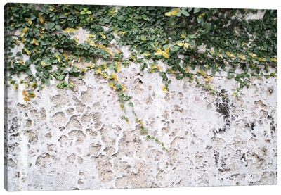 Rustic Leafy Positano Wall I Canvas Art Print - Campania Art