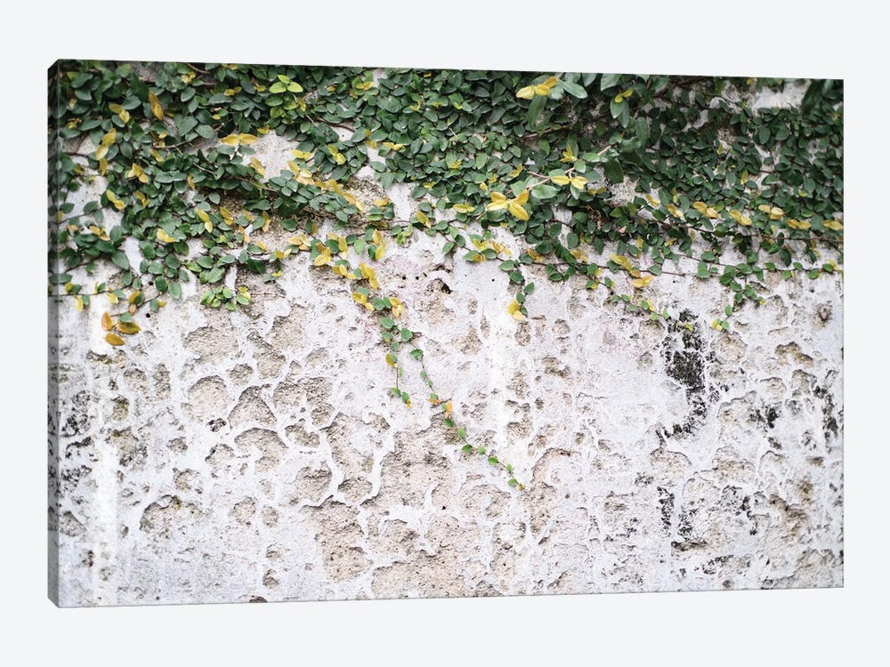 Rustic Leafy Positano Wall I by Anita's & Bella's Art 1-piece Canvas Print
