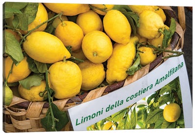 Amalfi Lemon Dream III Canvas Art Print - Anita's & Bella's Art