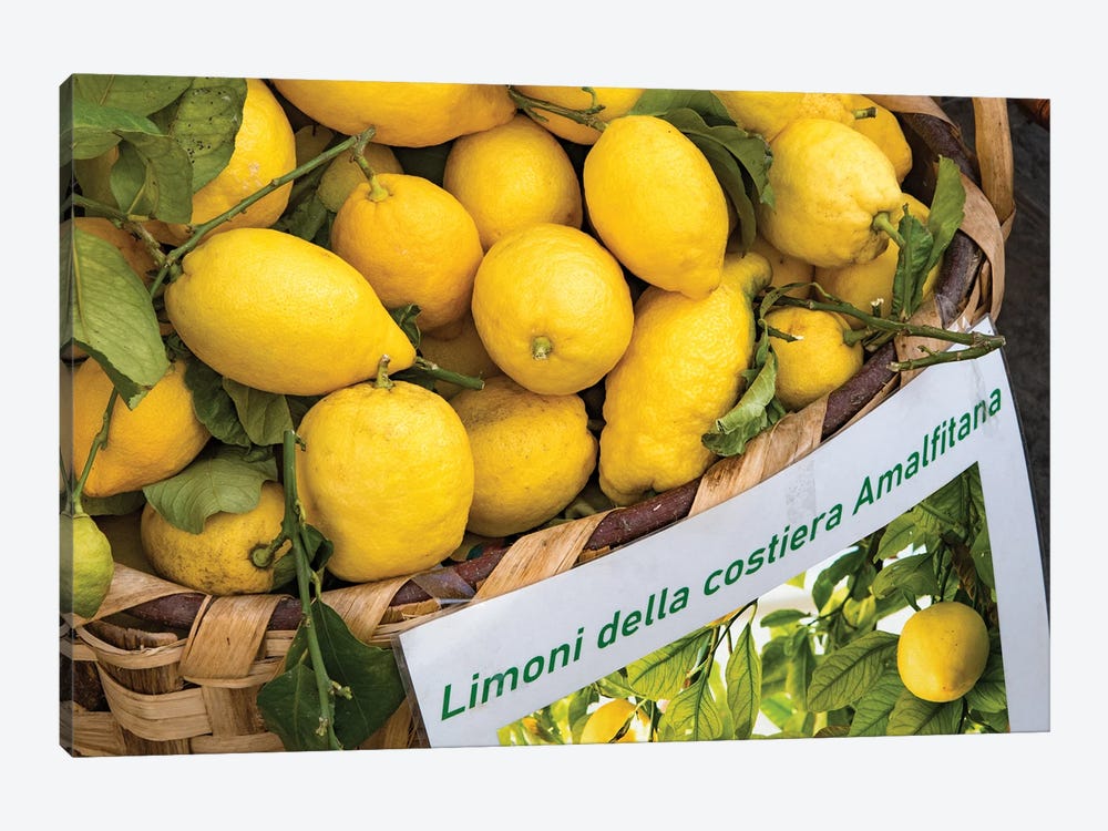 Amalfi Lemon Dream III by Anita's & Bella's Art 1-piece Canvas Art