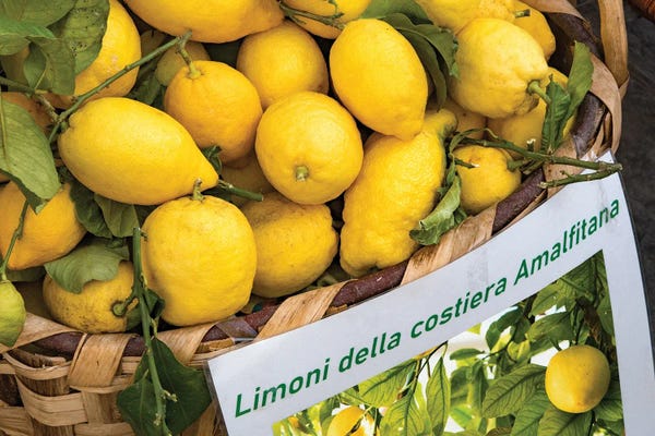 Anita's & Bella's Art: Amalfi Lemon Dream III by Anita's & Bella's Art