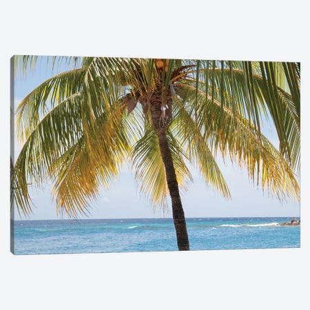 Caribbean Palm Tree Beach Vibes I Canvas Print #ABM513} by Anita's & Bella's Art Canvas Art Print