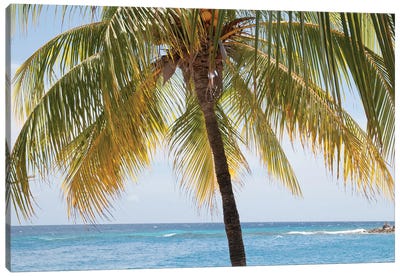 Caribbean Palm Tree Beach Vibes I Canvas Art Print - Anita's & Bella's Art