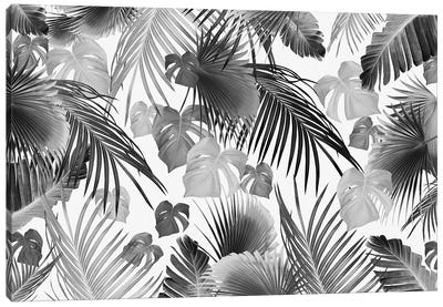 Tropical Jungle Leaves Dream XI Canvas Art Print - Black & White Patterns