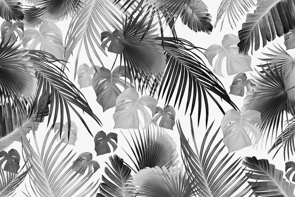Black & White Patterns: Tropical Jungle Leaves XI Dream by Anita's & Bella's Art