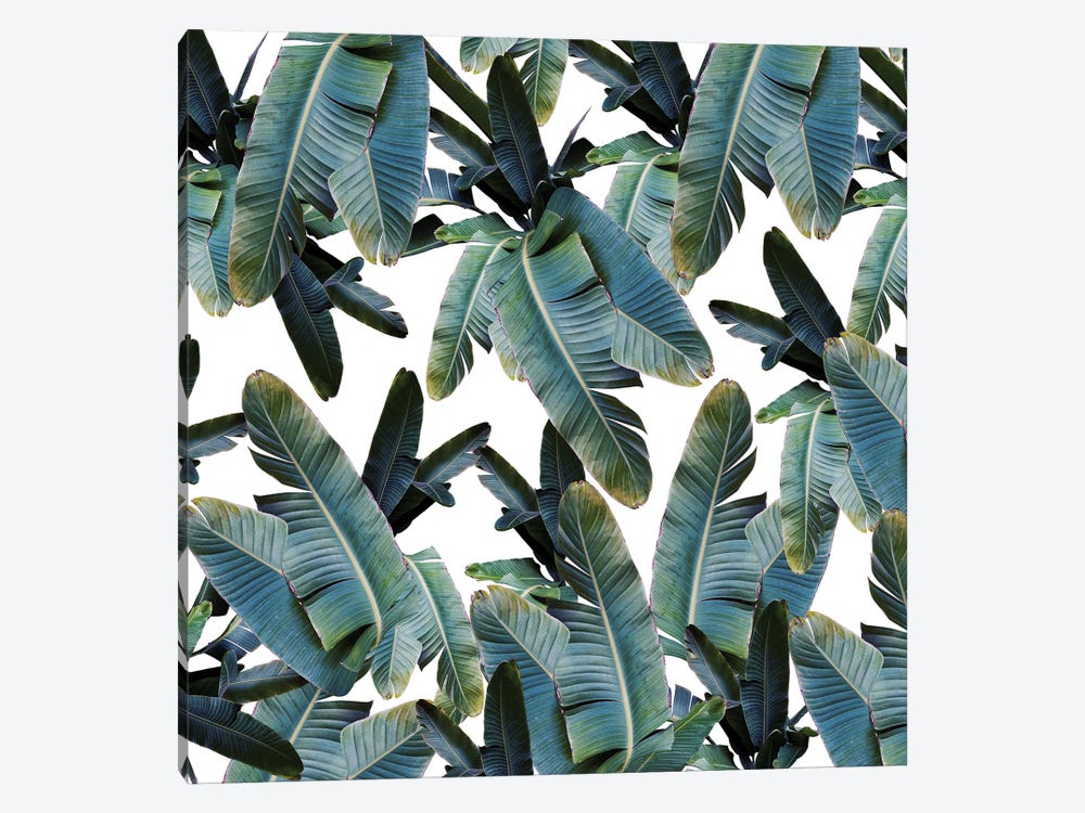 Tropical Banana Leaves Jungle IV by Anita's & Bella's Art 1-piece Canvas Art Print
